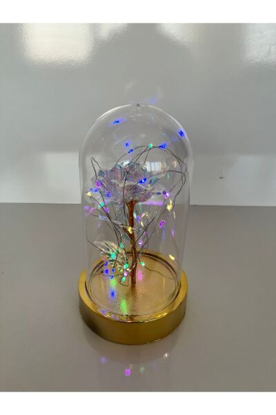 Hediyelik Şeffaf Renkli Sonsuzluk Güllü Işıklı Gold Fanus