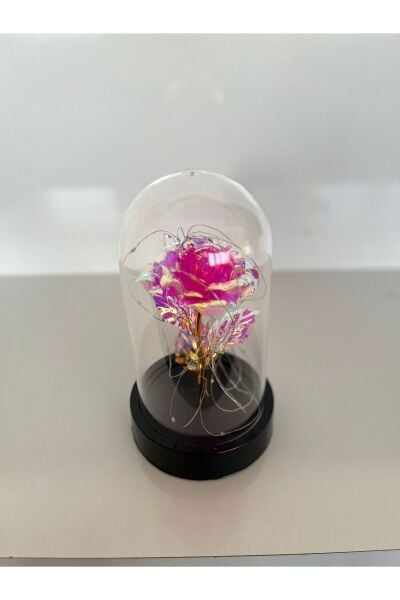 Özel Günler İçin Hediyelik Dekoratif Solmayan Sonsuzluk Pembe Güllü Renkli Ledli Işıklı Siyah Fanus