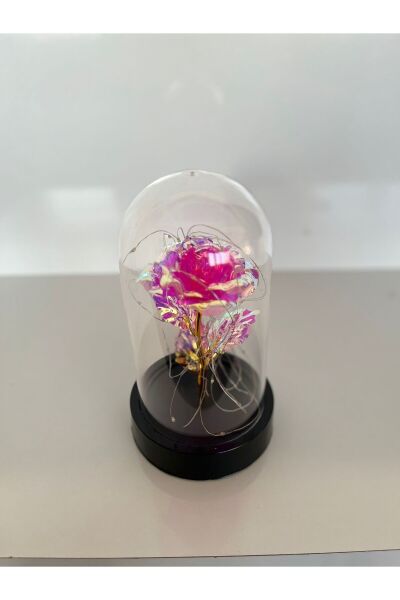 Hediyelik Sonsuzluk Güllü Pembe Renkli Işıklı Siyah Fanus