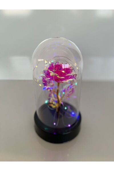 Özel Günler İçin Hediyelik Dekoratif Solmayan Sonsuzluk Pembe Güllü Renkli Ledli Işıklı Siyah Fanus