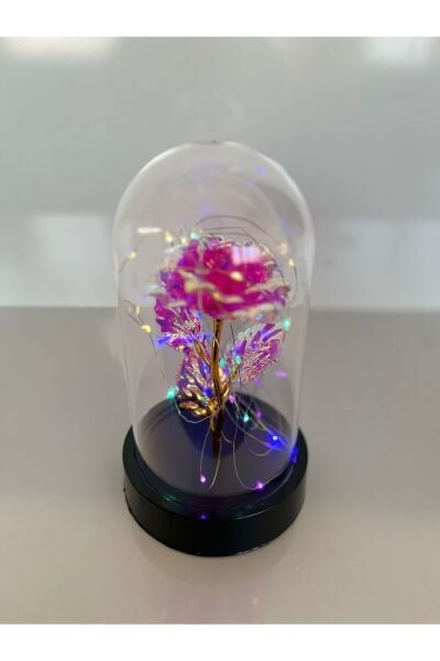 Özel Günler İçin Hediyelik Dekoratif Solmayan Sonsuzluk Pembe Güllü Renkli Ledli Işıklı Siyah Fanus