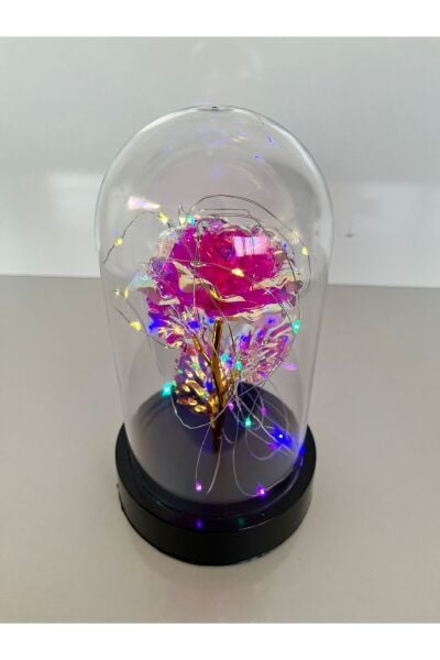 Özel Günler İçin Hediyelik Dekoratif Solmayan Sonsuzluk Pembe Güllü Renkli Ledli Işıklı Siyah Fanus