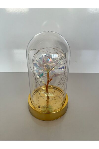 Sevgililer Ve Anneler Gününe Özel Hediyelik Dekoratif Solmayan Sonsuzluk Güllü Işıklı Ledli Fanus