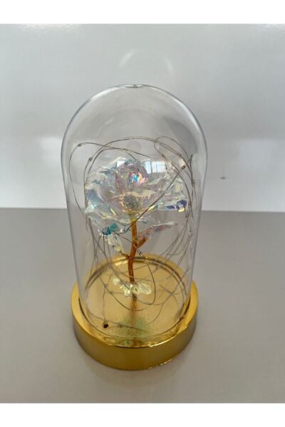 Sevgililer Ve Anneler Gününe Özel Hediyelik Dekoratif Solmayan Sonsuzluk Güllü Işıklı Ledli Fanus