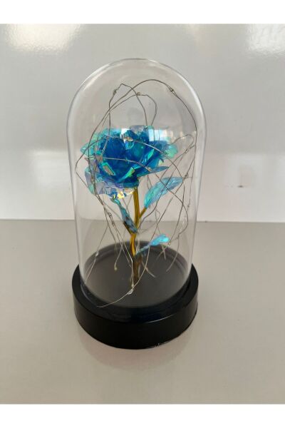 Hediyelik Mavi Sonsuzluk Güllü Rgb Ledli Fanus