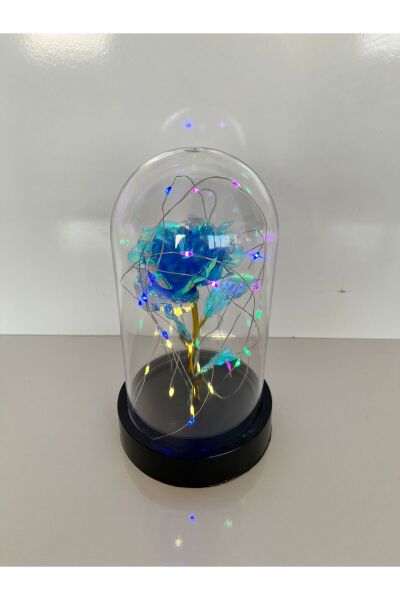 Sevgililer Ve Anneler Gününe Özel Hediyelik Dekoratif Solmayan Mavi Sonsuzluk Gül Rgb Ledli Fanus