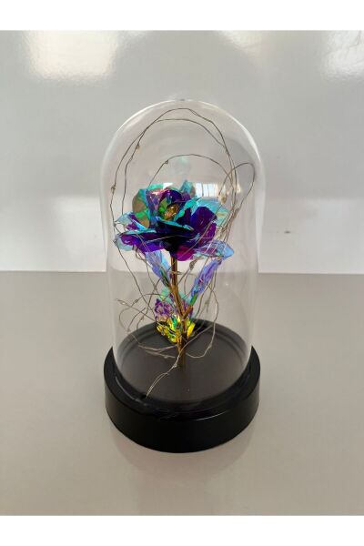 Hediyelik Mor Renkli Solmayan Güllü Ledli Siyah Fanus