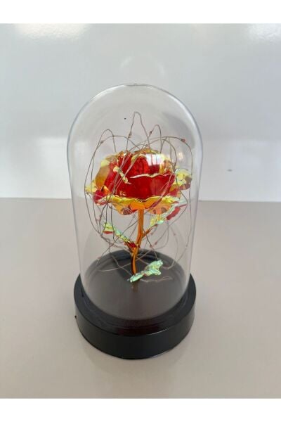 Özel Günler İçin Hediyelik Dekoratif Solmayan Sonsuzluk Kırmızı Güllü Ledli Işıklı Siyah Fanus