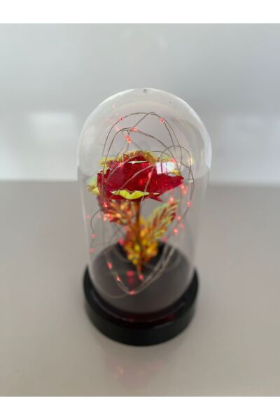 Özel Günler İçin Hediyelik Dekoratif Solmayan Sonsuzluk Kırmızı Güllü Ledli Işıklı Siyah Fanus