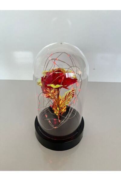Özel Günler İçin Hediyelik Dekoratif Solmayan Sonsuzluk Kırmızı Güllü Ledli Işıklı Siyah Fanus