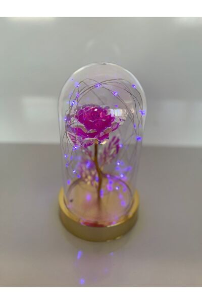 Özel Günler İçin Hediyelik Dekoratif Solmayan Sonsuzluk Pembe Güllü Işıklı Ledli Işıklı Gold Fanus