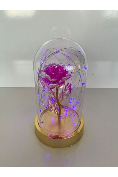 Hediyelik Solmayan Pembe Güllü Işıklı Ledli Gold Fanus