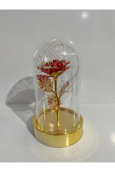 Dekoratif Solmayan Sonsuzluk GülIü Işıklı Gold Fanus