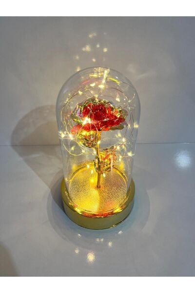 Dekoratif Solmayan Sonsuzluk GülIü Işıklı Gold Fanus