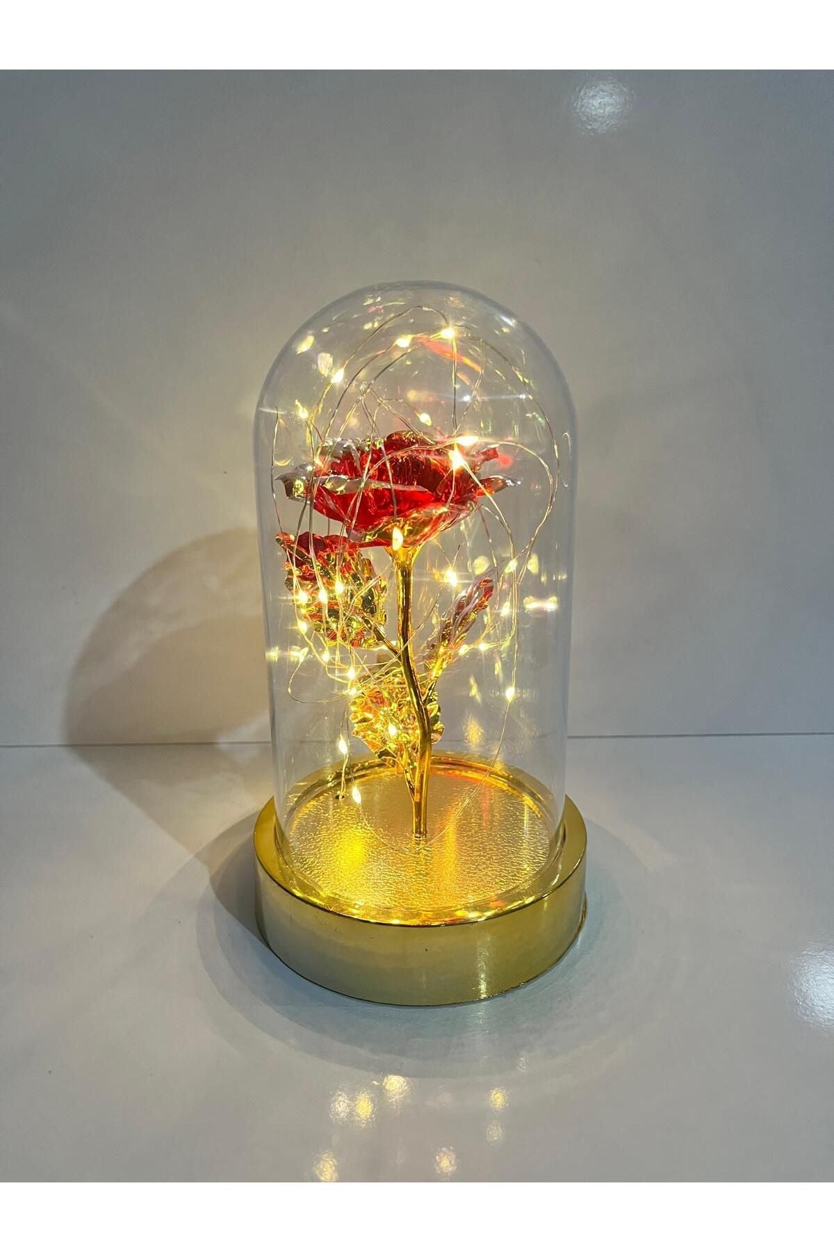 Dekoratif Solmayan Sonsuzluk GülIü Işıklı Gold Fanus