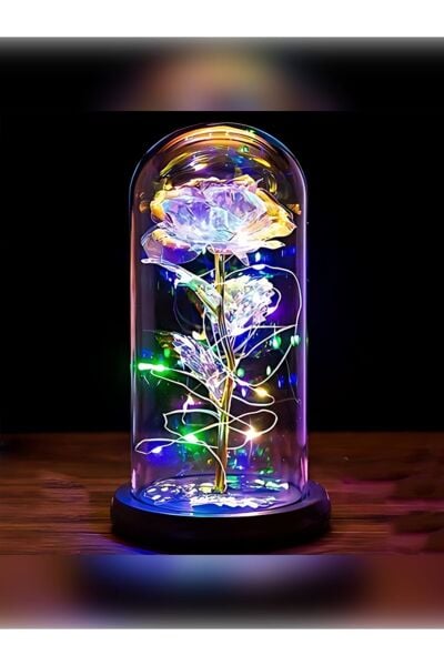 Sonsuzluk Güllü Led Fanus Hediyelik