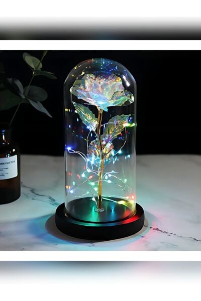Sonsuzluk Güllü Led Fanus Hediyelik