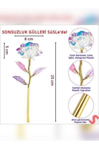 Sonsuzluk Gülü Hediyelik Şeffaf Rose Solmayan Gül