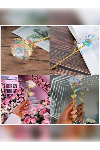 Sonsuzluk Gülü Hediyelik Şeffaf Rose Solmayan Gül