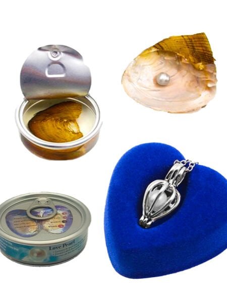 İstiridye İnci Kolye Kadın Şık Zarif Tasarım Paslanmaz Çelik Zincirli İnci Kolye Hediyelik Takı